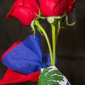 Meet your Posher, Lovely